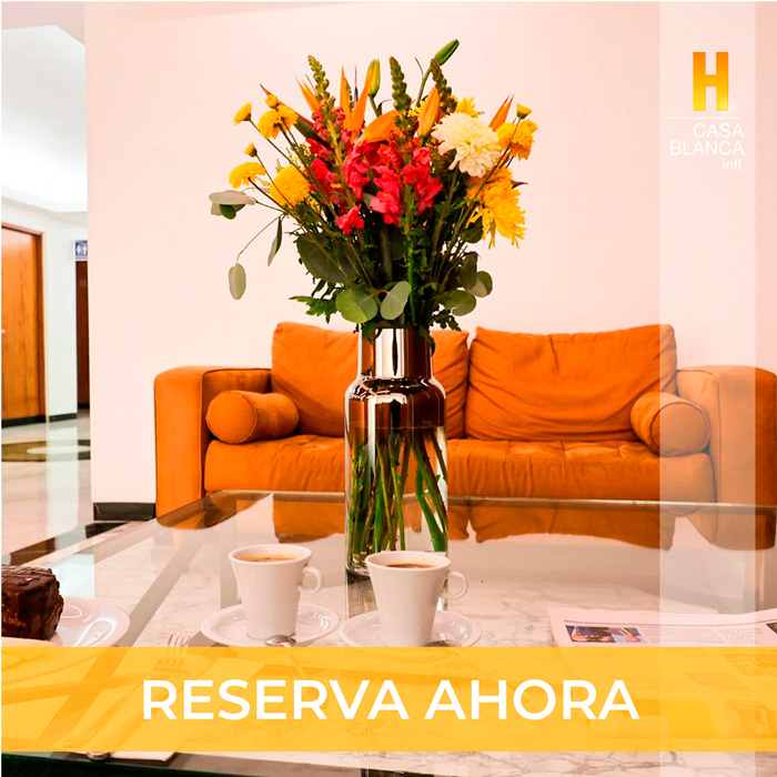 hotel-accesible-cdmx